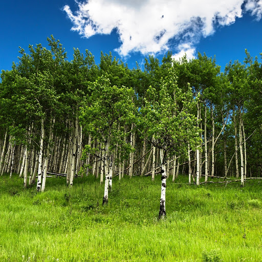 Hd-147364-ascw147364