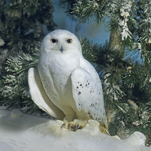 Hd-177839-ascw177839