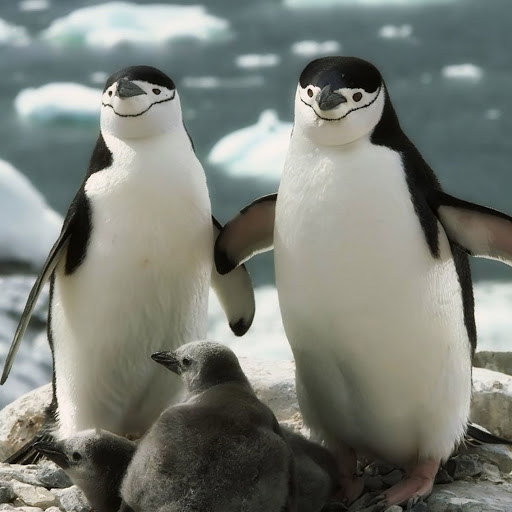 Hd-136509-ascw136509