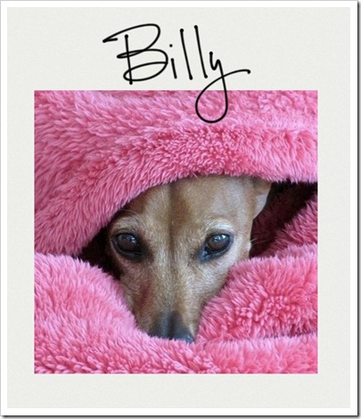 Billy (2)