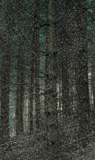 Snowy Trees Live Wallpaper