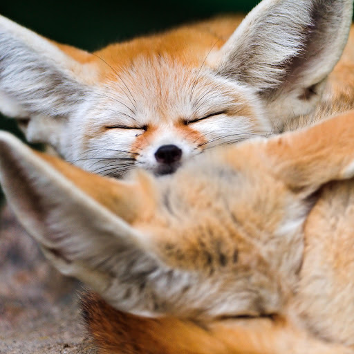 Hd-163714-ascw163714