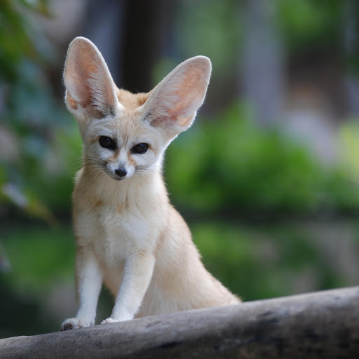 Hd-137491-ascw137491