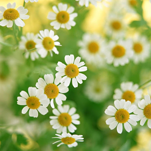 Hd-182343-ascw182343