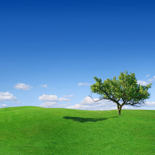 Hd-140639-ascw140639