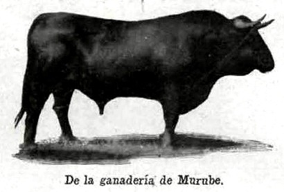 Toro de Murube