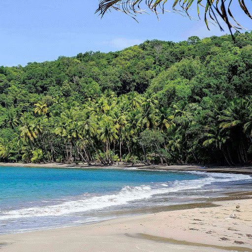 Hd-144704-ascw144704