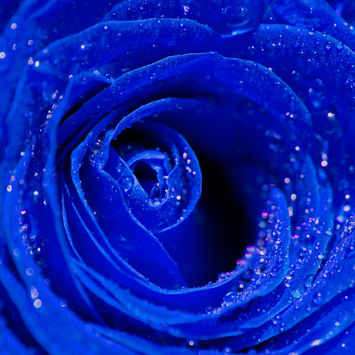 Hd-137698-ascw137698