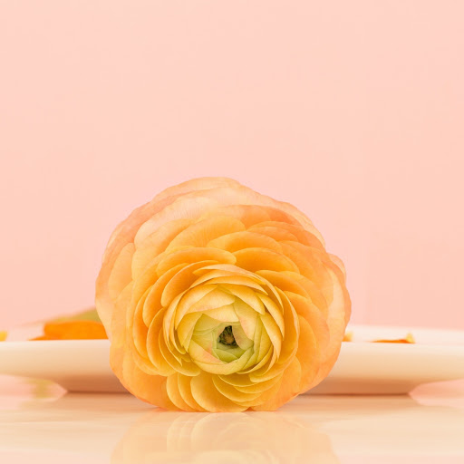 Hd-186261-ascw186261