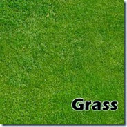 Grass