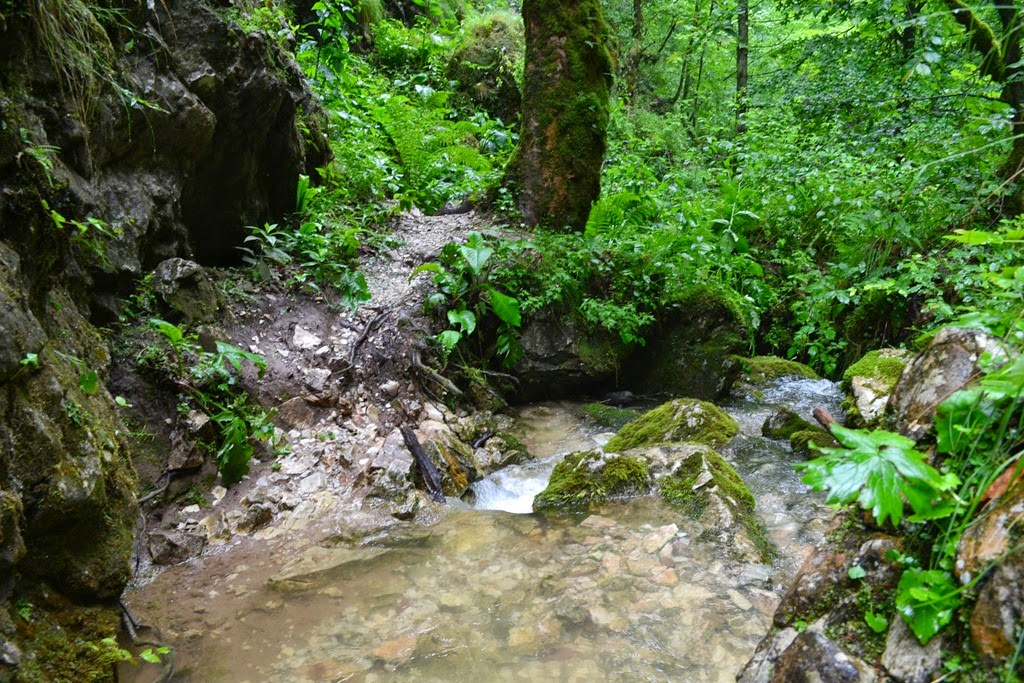 [DSC_03133.jpg]
