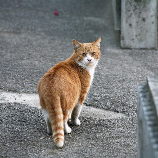 Hd-178486-ascw178486