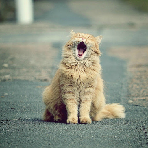 Hd-179983-ascw179983