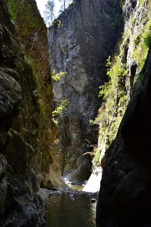 [DSC_80134.jpg]
