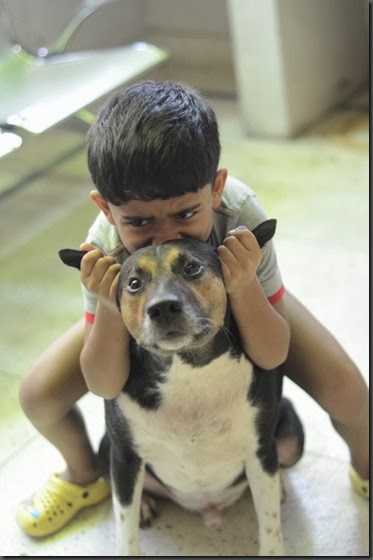 A Boy and His Dog 7
