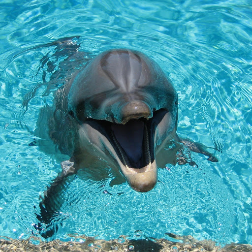 Hd-173592-ascw173592