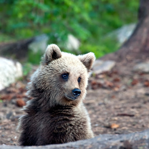 Hd-157418-ascw157418