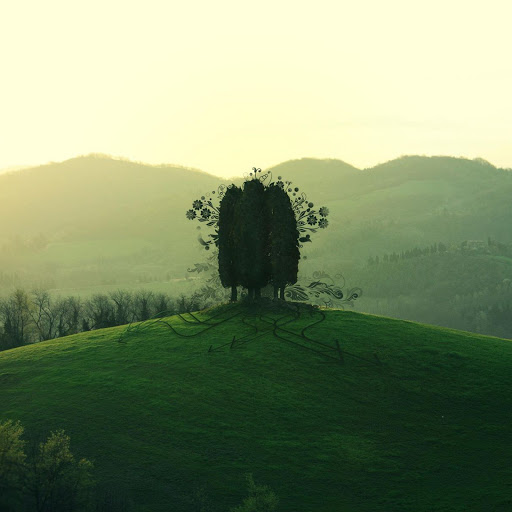 Hd-167506-ascw167506