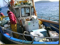 pêcheurs-ischia3