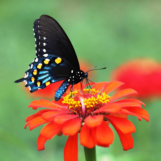 Hd-149151-ascw149151