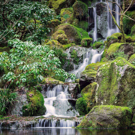 Hd-183015-ascw183015