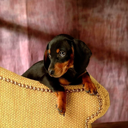 Hd-185641-ascw185641