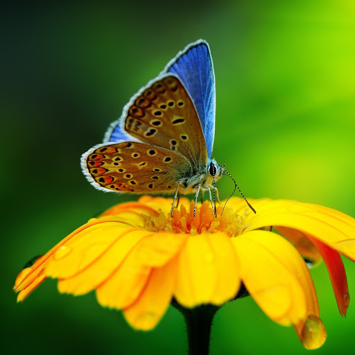 Hd-183928-ascw183928