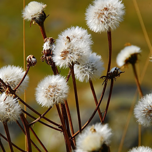 Hd-143769-ascw143769