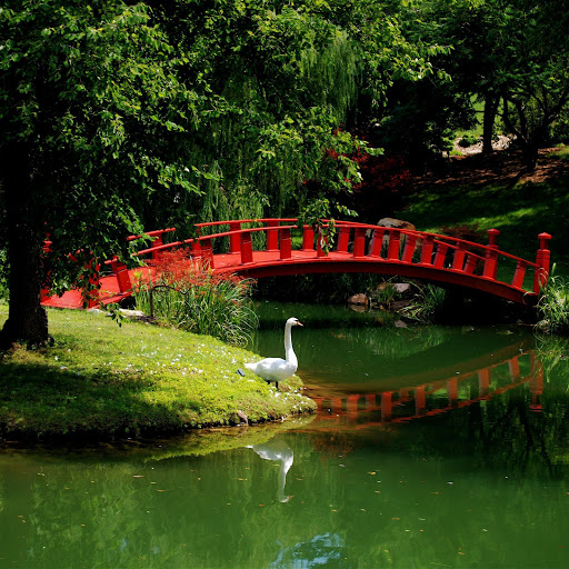 Hd-154757-ascw154757