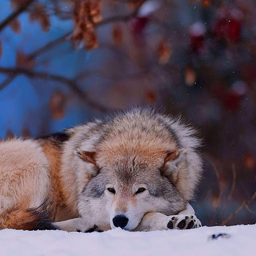 Hd-134675-ascw134675