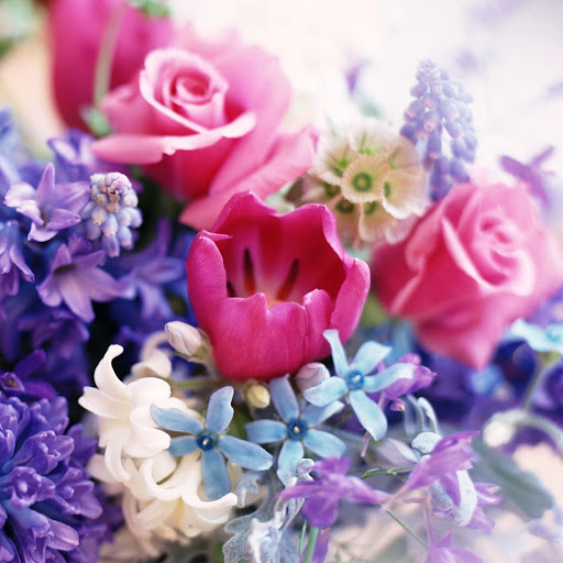 Hd-146255-ascw146255