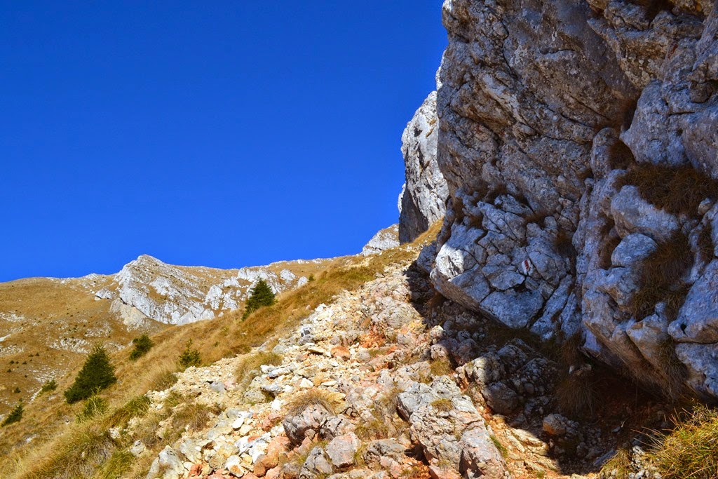 [DSC_55843.jpg]