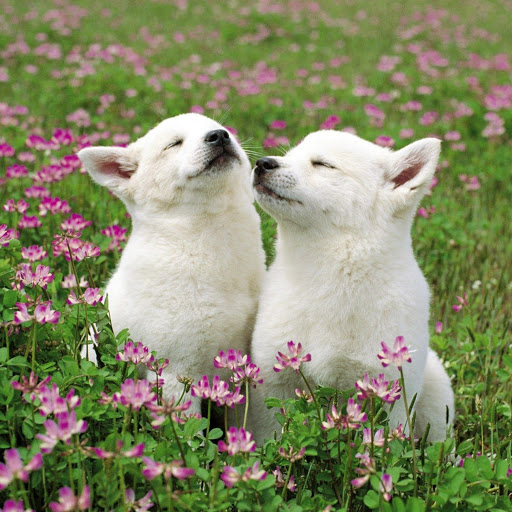 Hd-157172-ascw157172