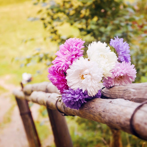 Hd-168543-ascw168543