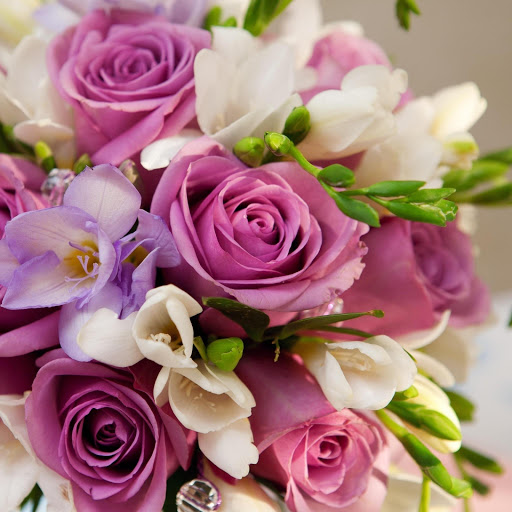 Hd-166739-ascw166739