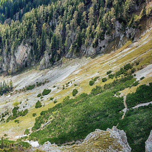 Hd-180820-ascw180820