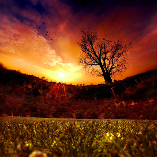 Hd-162919-ascw162919