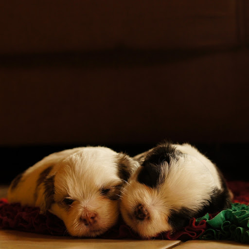 Hd-166229-ascw166229