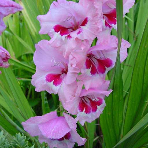 Hd-144402-ascw144402