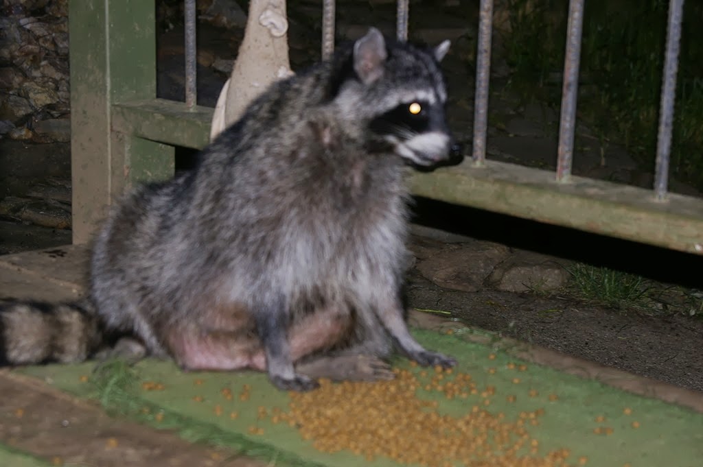 [Pentax%2520004%255B5%255D.jpg]