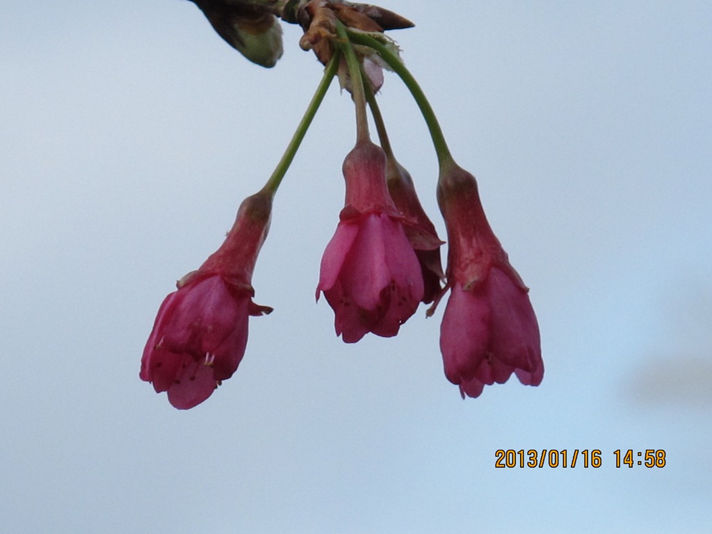 [IMG_76014.jpg]