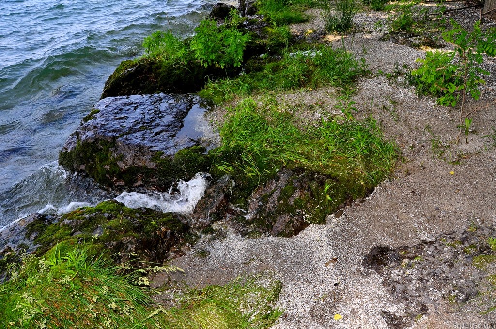 [DSC_0055%255B3%255D.jpg]