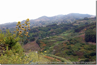 2925 Montaña Alta-San Juan 2925 Montaña Alta-San Juan