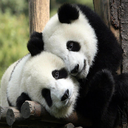 Hd-169677-ascw169677