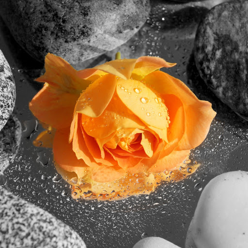 Hd-180240-ascw180240