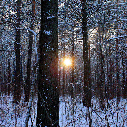 Hd-155756-ascw155756