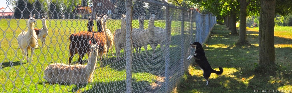 [DSC_0024%255B4%255D.jpg]