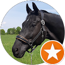 M. K. profile picture