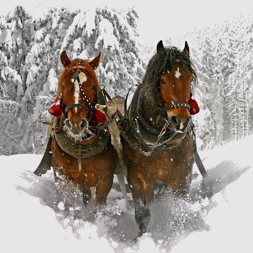 Hd-173520-ascw173520