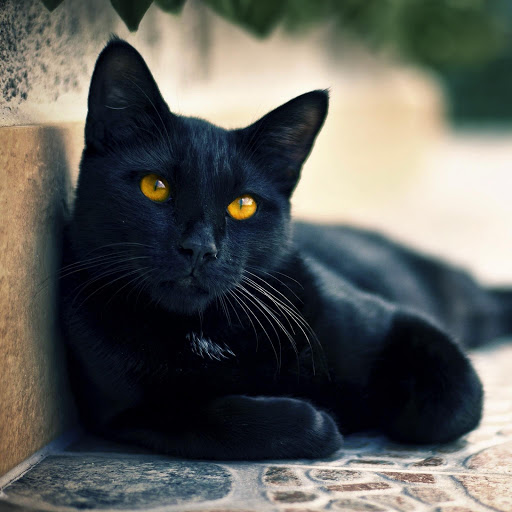 Hd-176483-ascw176483